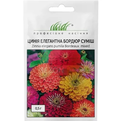 Проф насіння Цинія елегантна Бордюр суміш 0,5г 00450