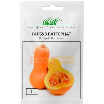 Проф насіння Гарбуз Баттернат 2 г. 010125