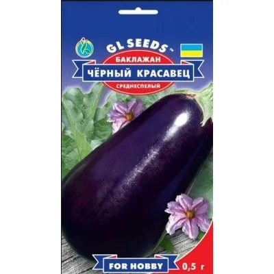 Баклажан Чорний  красень  0,3 г 5099 GL SEEDS