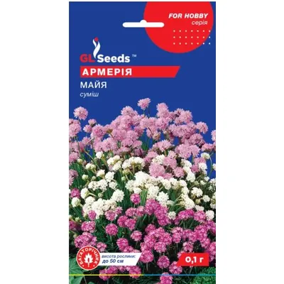 Армерія Майя  0,1 г 42584 GL SEEDS