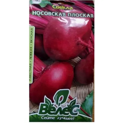 Буряк Носівський плоский  3 г 00336 Велес