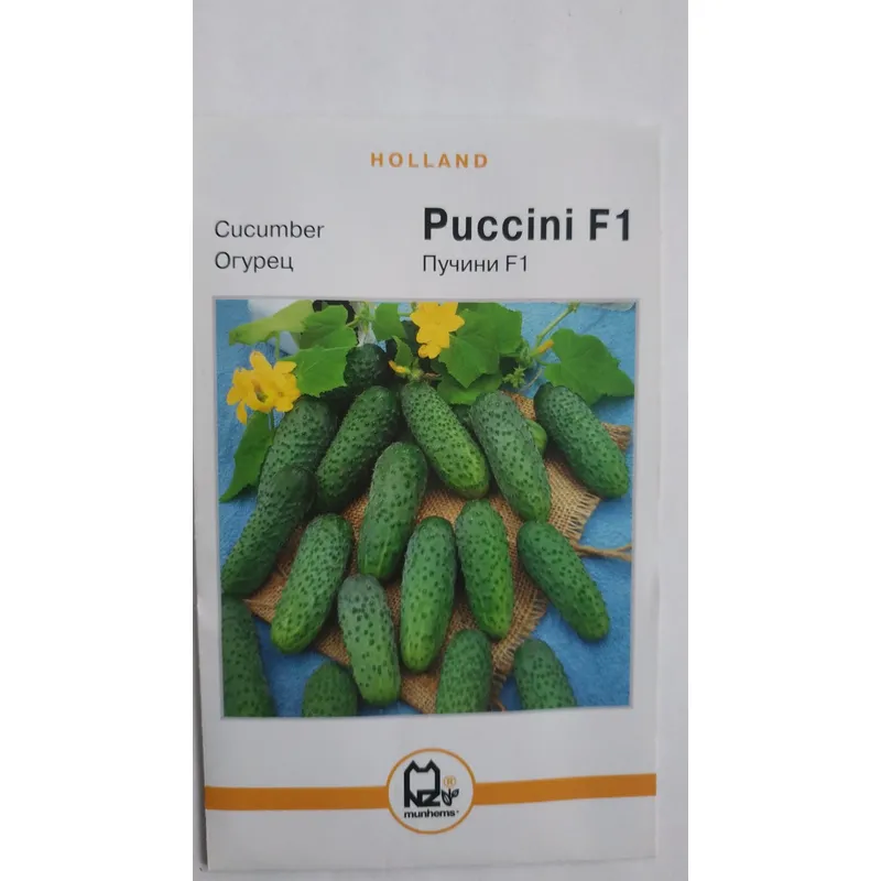 Голандія Огірок Пучіні  F1 30  шт.  5  гр. 01071 