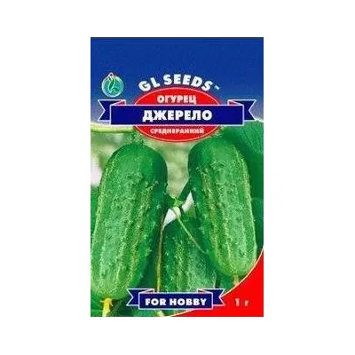 Огурец Джерело  1гр 5251 GL SEEDS
