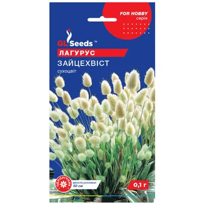 Лагурус Зайцехвіст 0,1 г 99638 GL SEEDS