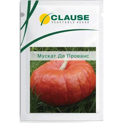 Проф насіння гарбуз стол .,Мускат де Прованс 1г (фас) 100358