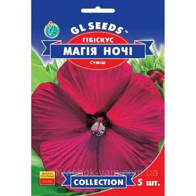 Гібіскус Магія ночі 5 шт 95158 GL SEEDS