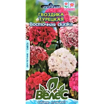 Гвоздика турецька  Східна казка  0,5 г 95167 Велес
