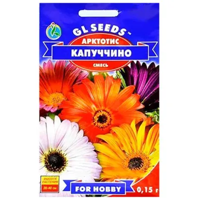 Арктотіс Капучіно 0,15 г 99544 GL SEEDS