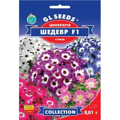 Цинерарія Шедевр  F1 0,01 г 10944 GL SEEDS
