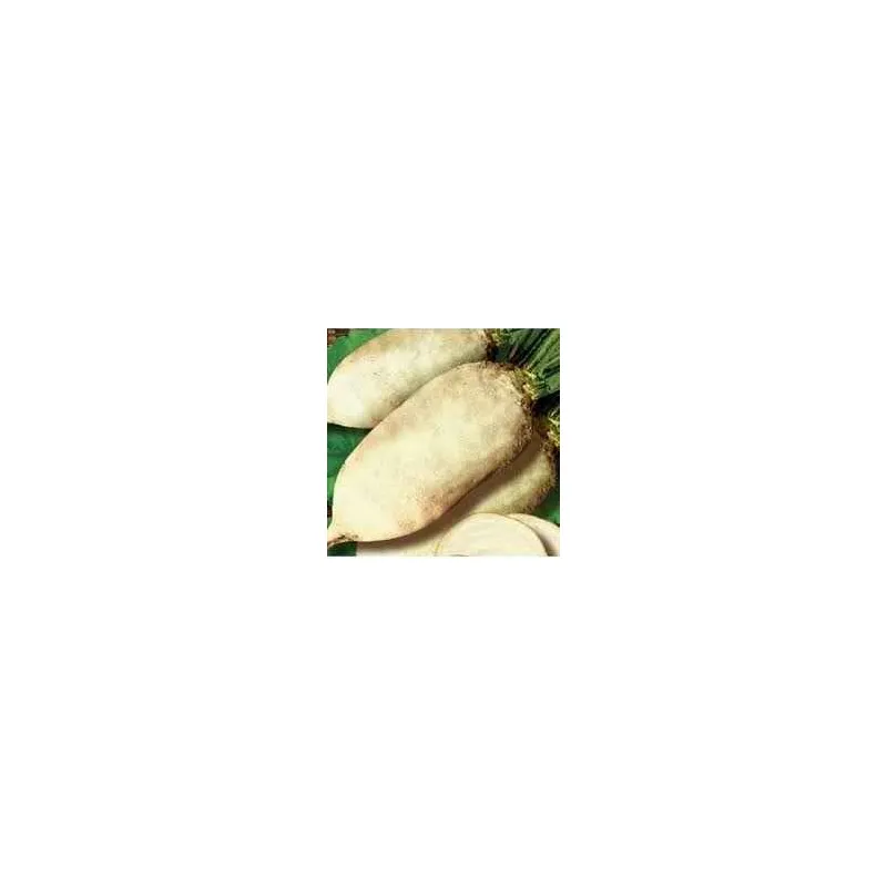 Буряк кормовий  Центаур 1кг 6297 
