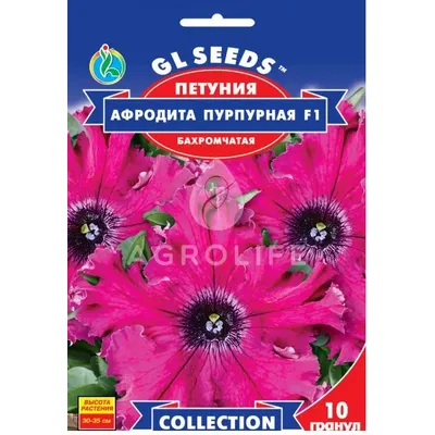 Петунія  Афродіта пурпурова F1 10гранул 99626 GL SEEDS