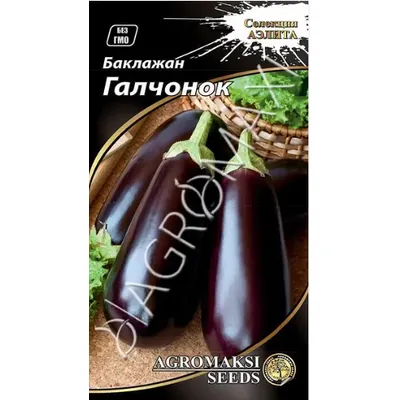Баклажан Галчонок  0,3 г 17316 Агромаксі
