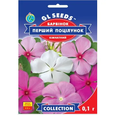 Барвінок Перший поцілунок кімнатний 0,1 г 99424 GL SEEDS