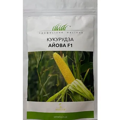 Проф насіння Кукурудза цукрова сер.стигла  Айова  F1,100г (Мнагор) 10390