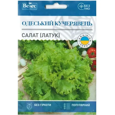Салат (латук) Одеський кучерявець 5 г МАКСІ 2998 Велес
