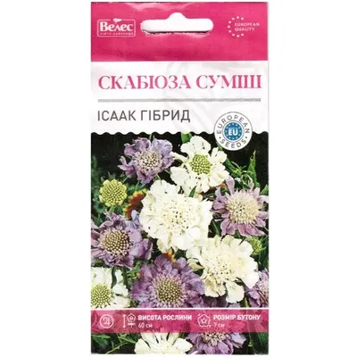 Скабіоза багаторічна Ісаак Гібрід  0,1 г 95247 Велес