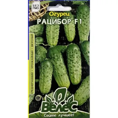 Огірок Рацибор F1  0,5г 100272 Велес