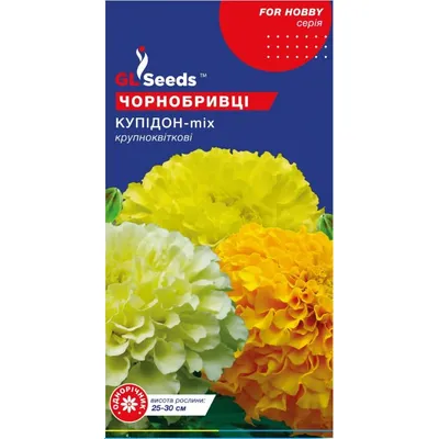 Чорнобривці  Купідон 0,2 г 99240 GL SEEDS