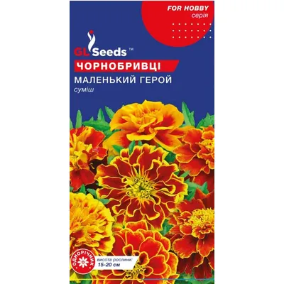 Чорнобривці  Маленький герой 0,5 г 5707 GL SEEDS