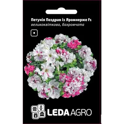 Петунія Поздрав із Яромнерже  F1  великоквіткова, бахромчата 10 шт LEDAAGRO 99599