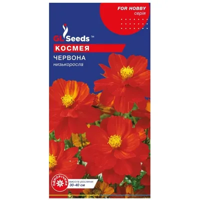 Космея червона 0,25 г 48842 GL SEEDS
