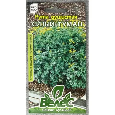 Рута запашна Сизий туман 0,2г 00431 Велес