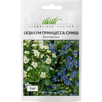 Проф насіння Екзакум (персидська фіалка) Принцесса суміш 5шт. 00403