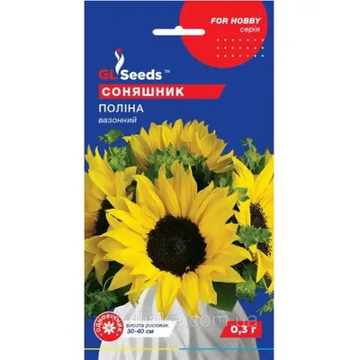 Соняшник Поліна вазонний 0,3 г 68200 GL SEEDS