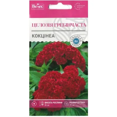 Целозія гребінчата  Кокцінеа 0,2 г 95296 Велес