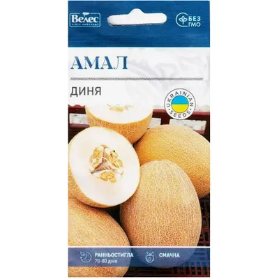 Диня Амал 1 г 1281 Велес