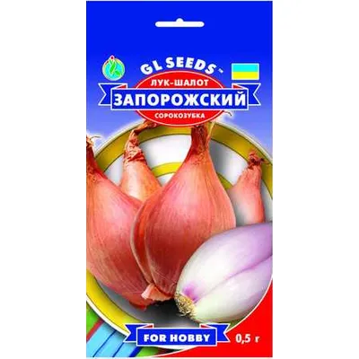 Цибуля шалот Запорізький   0,5 г 5172 GL SEEDS