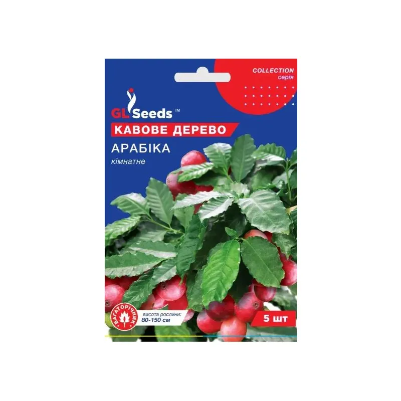 Кавове дерево Арабіка 5 шт 95189 GL SEEDS 