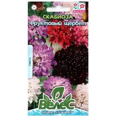Скабіоза  Фруктовий щербет 0,3 гр 95246 Велес