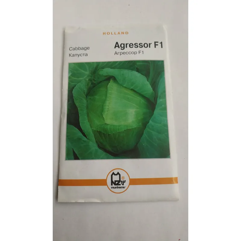 Голандія Капуста Агресор  F1  5  гр. 01048 