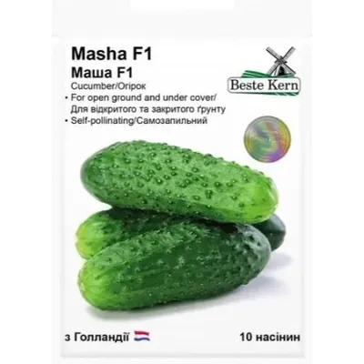 Огірок Masha  F1 10 шт 10200 Beste Kern