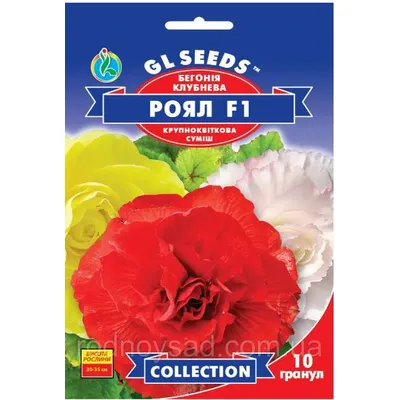 Бегонія клубнева Роял F1 суміш 10 гранул 95119 GL SEEDS