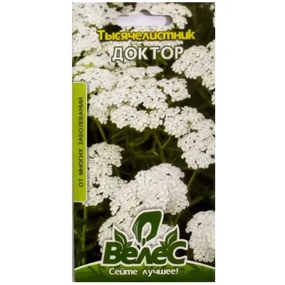 Деревій (тысячелистник) Доктор 0,2г 100335 Велес