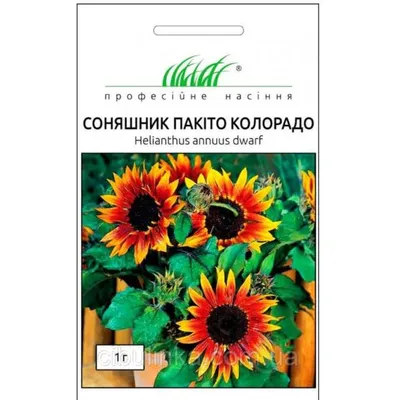 Проф насіння Соняшник Пакіто Колорадо суміш 1г 100426