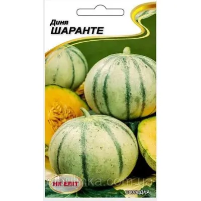 Диня Шаранте 1 г 99276 НК Еліт
