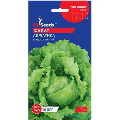 Салат  Адріатика  1 г 5512 GL SEEDS