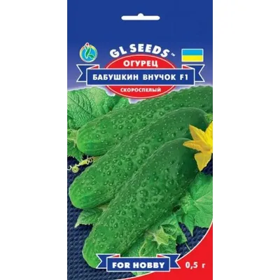 Огірок Бабусин онучок  F1  0,5 г 5239 GL SEEDS