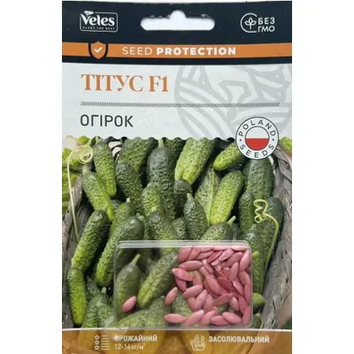 Огірок Тітус F1  50шт інкруст. 1274 Велес