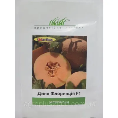 Проф насіння Диня Флоренція F1.  50 шт. 10396