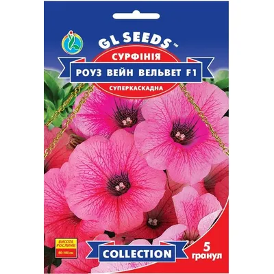 Сурфінія  Роуз Вейн Вельвет  F1 5 гранул 5718 GL SEEDS