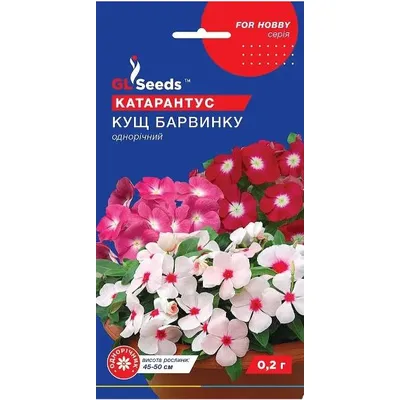 Катарантус Кущ барвінку 0,2 г 95213 GL SEEDS
