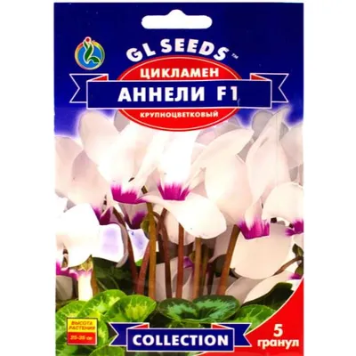 Цикламен Аннели  F1 5 гранул 95275 GL SEEDS