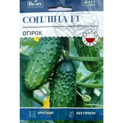 Огірок Сопліца  F1  2,5гр МАКСІ 100194 Велес