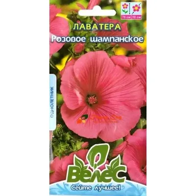 Лаватера Рожеве шампанське 1 г 95202 Велес