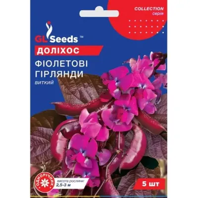 Доліхос  Фіолетові гірлянди  5 шт 99422 GL SEEDS