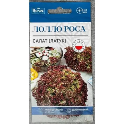 Салат (латук)  Лолло Росса   1 г 5523 Велес